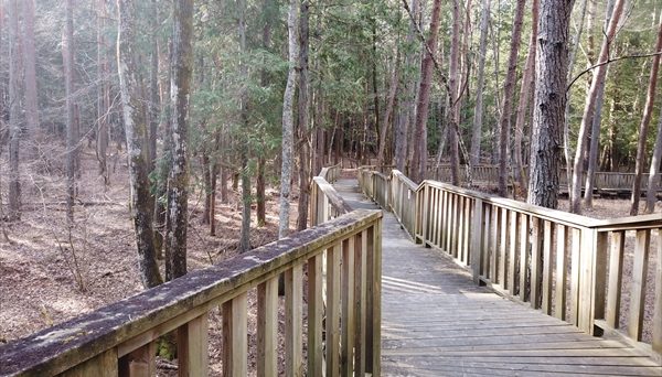 清水国明の森と湖の楽園